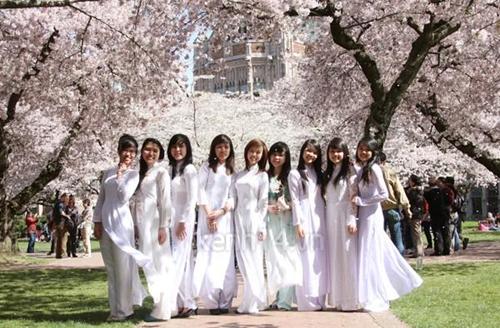 ນັກສຶກສານັກຄົ້ນຄ້ວາຫວຽດນາມຢູ່ຍີ່ປຸ່ນເຂົ້າຮ່ວມການເສັງບັນລະຍາຍດ້ວຍພາສາຍີ່ປຸ່ນ